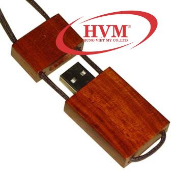 UGV 002 USB Go in khac logo chu lam qua tang quang cao thuong hieu 4