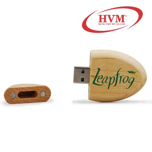 UGV 018 USB Go in logo khac logo chu lam qua tang quang cao thuong hieu 1