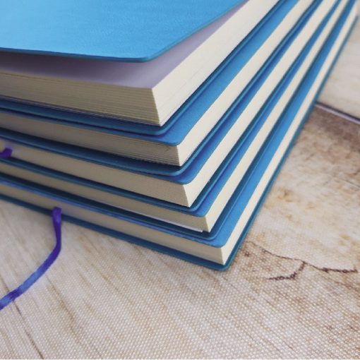 Sổ dán gáy – SDG 001