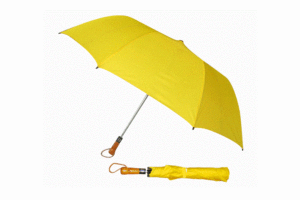 DCM 019 - Dù Gấp 2