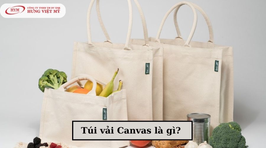 Túi vải Canvas là gì?