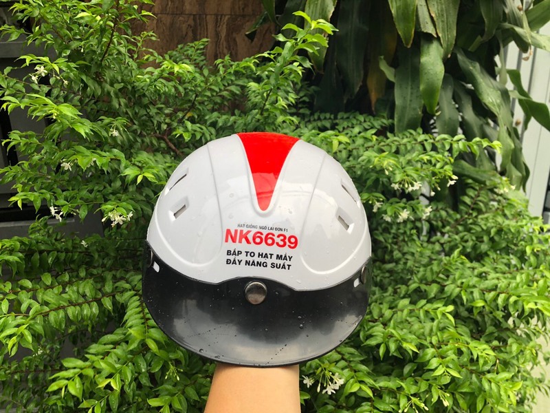 Nón Bảo Hiểm Kiểu 8 Lỗ – NBH 002