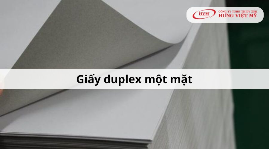 Các loại giấy duplex phổ biến