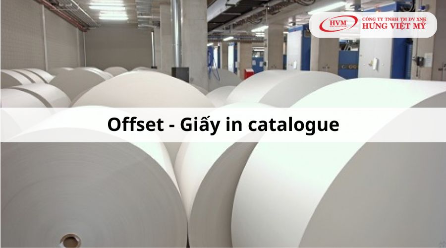 Loại giấy in catalogue: Giấy Offset