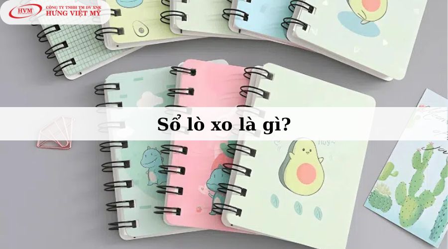 Sổ lò xo là gì? 