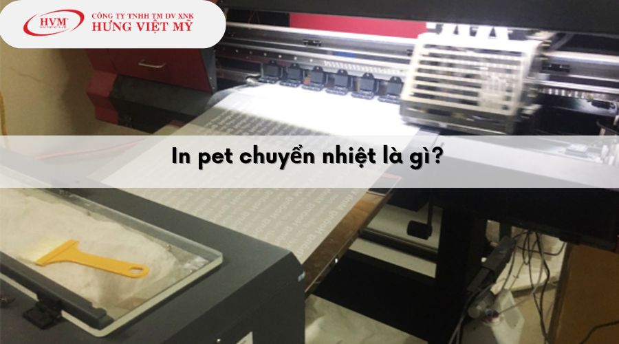 In pet chuyển nhiệt là gì?