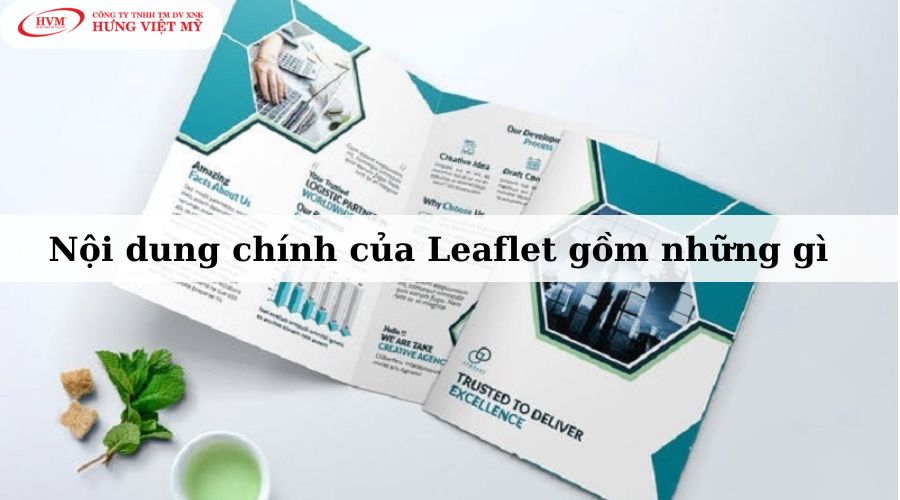 Nội dung Leaflet gồm những gì?