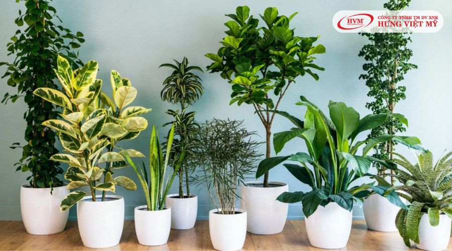 Gợi ý quà tặng Tết độc đáo