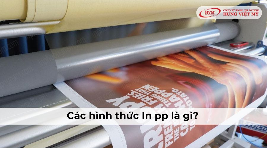 Các loại hình in PP phổ biến hiện nay