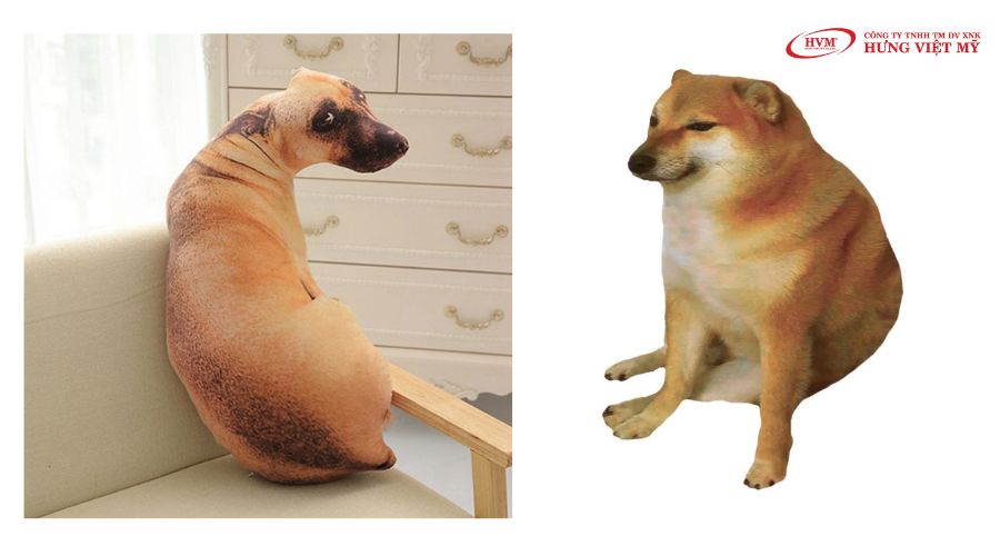 Quà tặng sinh nhật độc đáo gấu bông meme