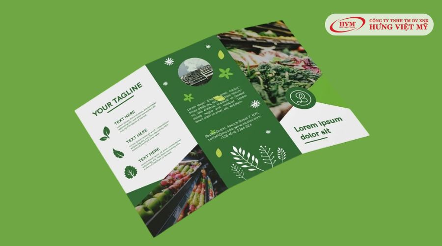 Brochure đa dạng kiểu chữ