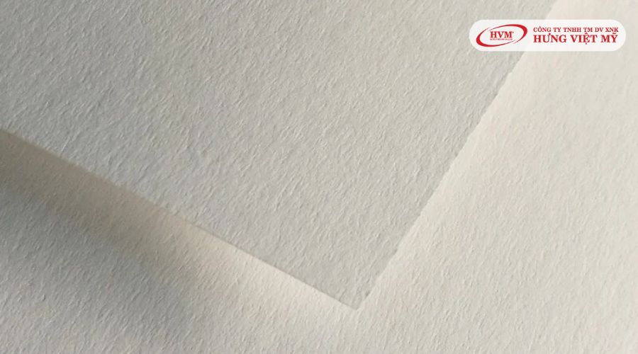 Giấy mỹ thuật Freelife Merida
