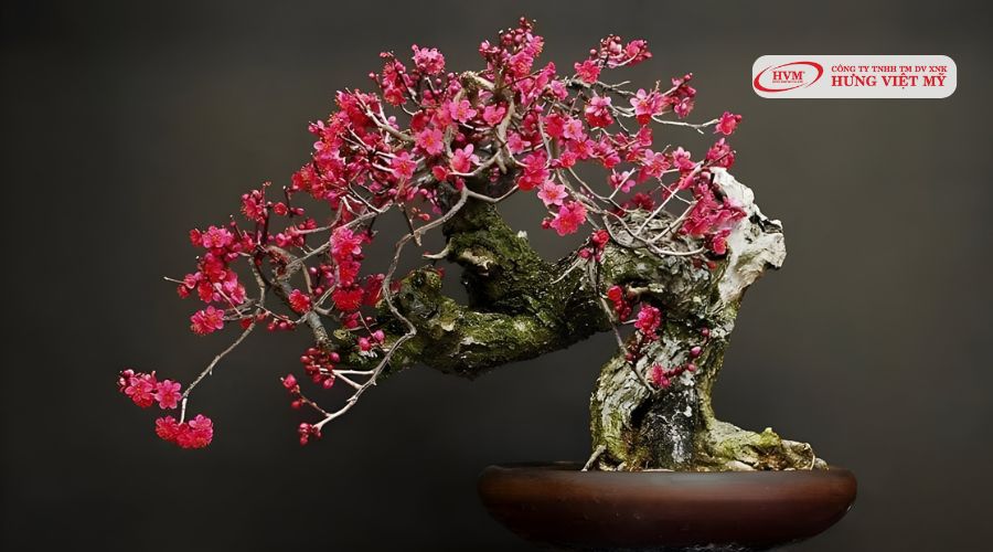 Cây hoa đào làm quà tặng tết