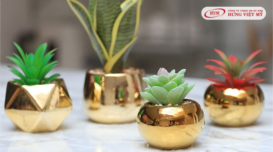 Chậu cây mini là món quà mang ý nghĩa phong thủy 