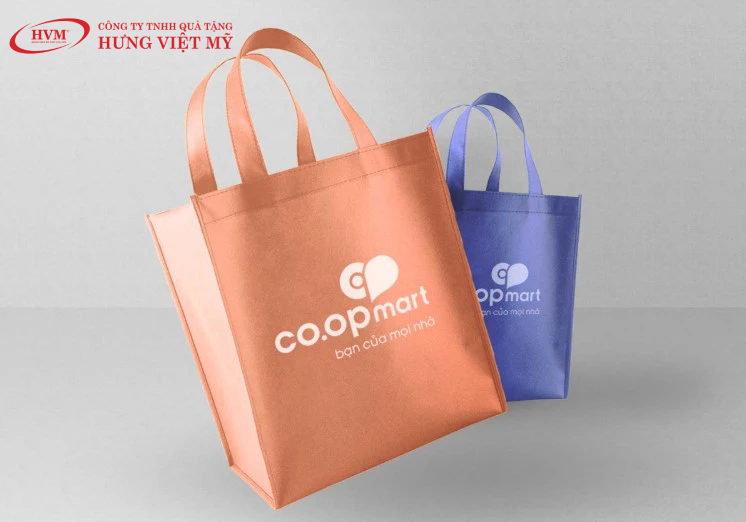 Mẫu túi vải không dệt in logo theo yêu cầu TPHCM