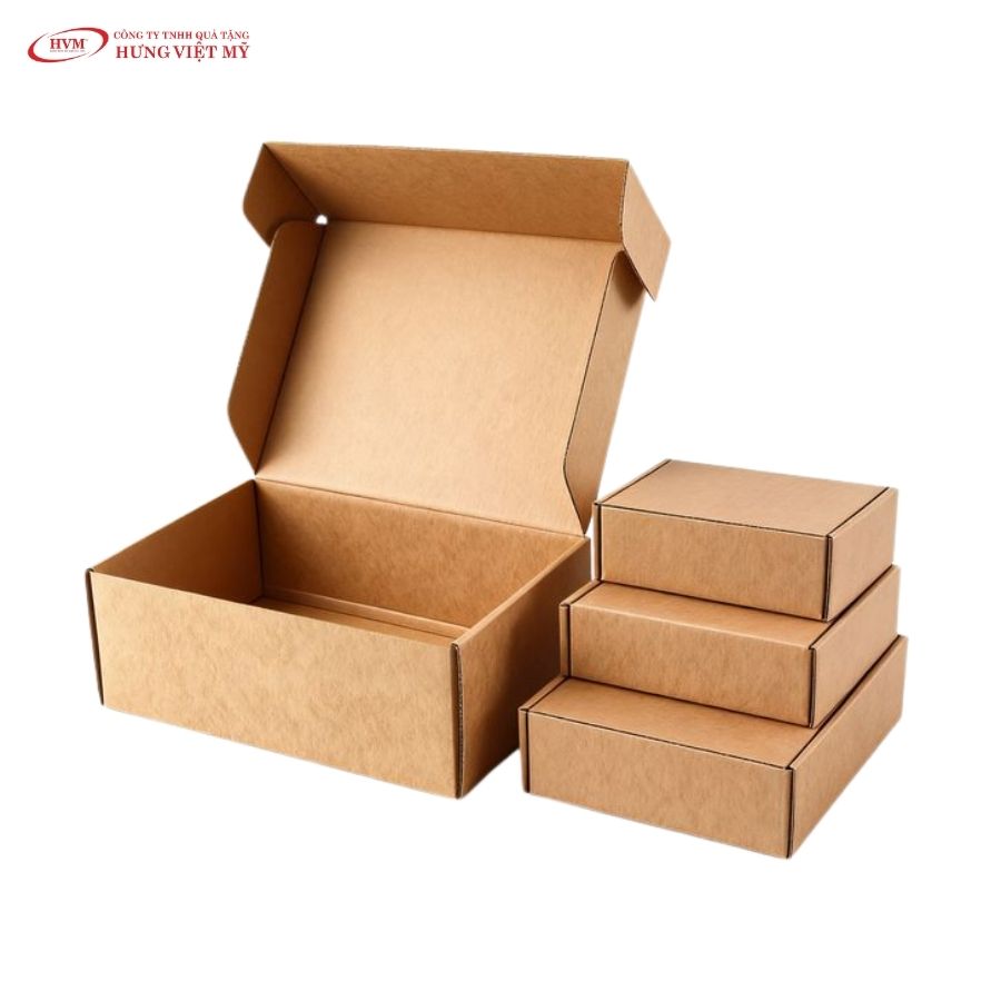 In Hộp Carton Nắp Gài - HNG 013